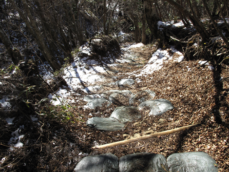 20181214hike (165)